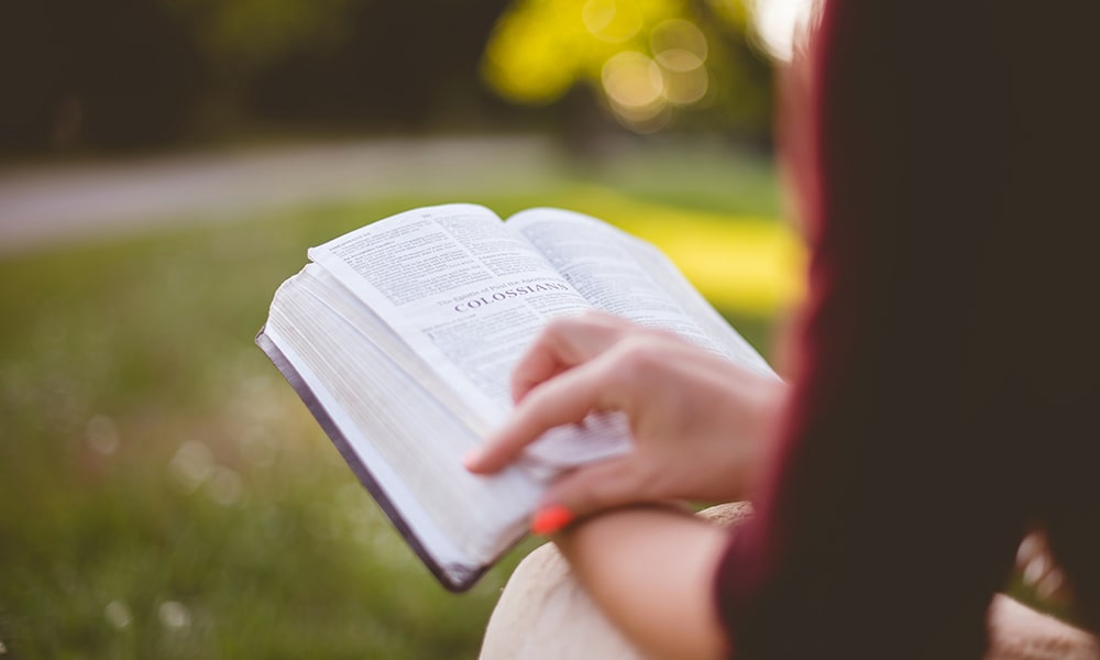 book reading