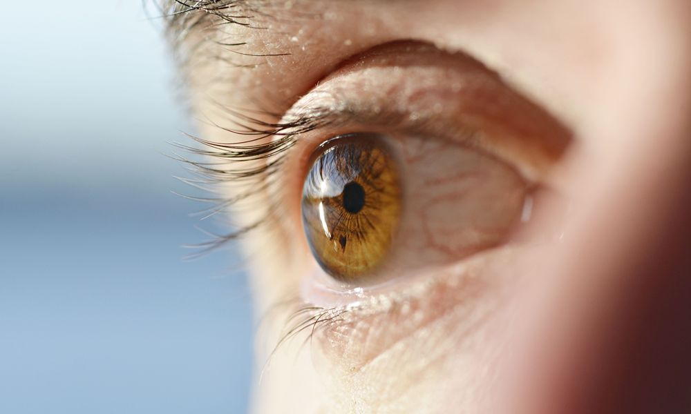 Close up of a person with brown eyes in sunlight